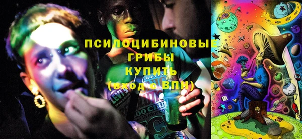 МДМА Богданович