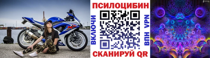 Псилоцибиновые грибы мицелий  Буйнакск 